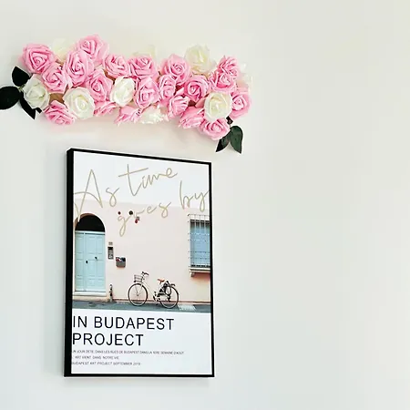Ani's Newly Built Budapeszt